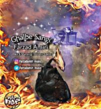 دانلود آهنگ جدید فرزاد امیری به نام قلب سنگی